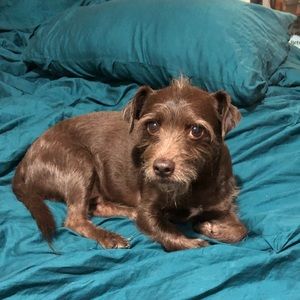 Meet your Posher, Natalia